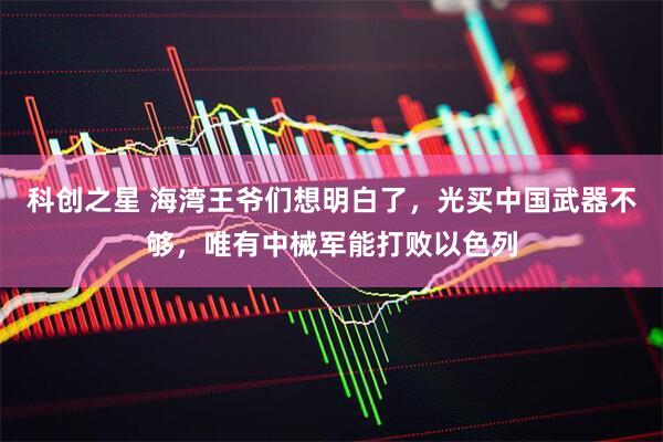 科创之星 海湾王爷们想明白了，光买中国武器不够，唯有中械军能打败以色列