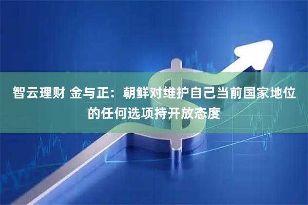 智云理财 金与正：朝鲜对维护自己当前国家地位的任何选项持开放态度