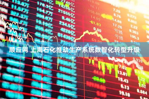 顺应网 上海石化推动生产系统数智化转型升级