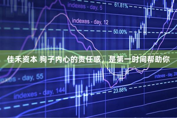 佳禾资本 狗子内心的责任感，是第一时间帮助你